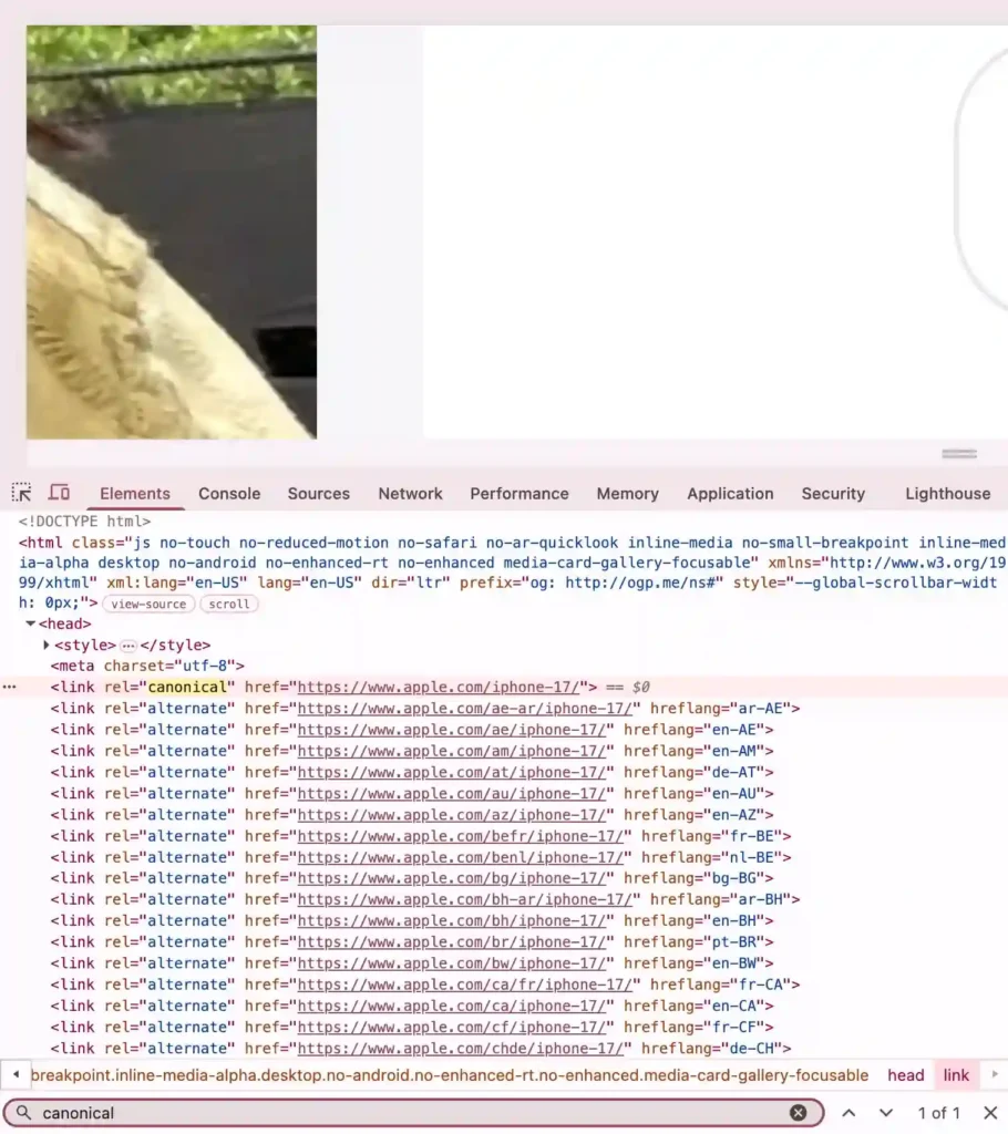 looking for canonical by View Page Source